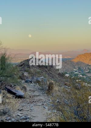 Felsiger Pfad durch Kakteen, Vollmond über Palo Verde auf einem Wüstenberg, blau-orange Himmel bei Sonnenuntergang, Phoenix Mountains Preserve, Paradise Valley, Arizona Stockfoto