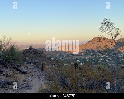 Felsiger Weg durch Kakteen, Vollmond über Palo Verde auf einem Wüstenberg, blau-orange Himmel bei Sonnenuntergang, Alpen glühen auf Mummy Mountain, Phoenix Mountains Preserve, Paradise Valley, Arizona Stockfoto