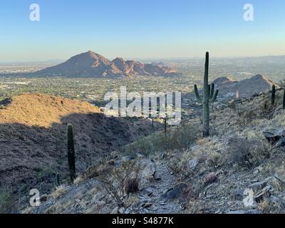 Felsiger Pfad durch Saguaro-Kakteen, blauer und orangener Himmel bei Sonnenuntergang, Alpen leuchten auf dem Camelback Mountain, Phoenix Mountains Preserve, Paradise Valley, Arizona Stockfoto