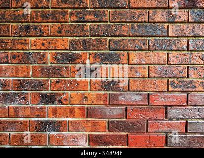 Vollformataufnahme der roten Ziegelwand. Hintergründe. Strukturiert. Muster. Wiederholung. Stockfoto