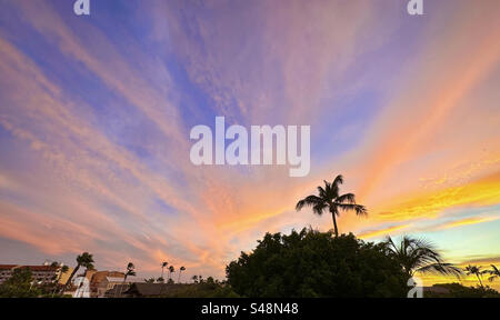 Sonnenuntergang und Palmen am Eagle Beach, Aruba. Niederländische Antillen. Karibik Stockfoto