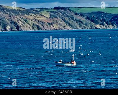 Cornwall Fischerboot gefolgt von Möwen, die in den Hafen kommen Stockfoto