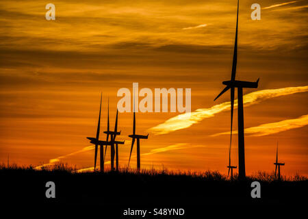 Whitelee Windfarm in Schottland bei Sonnenaufgang im Winter Stockfoto