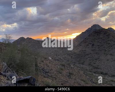 Phoenix Mountains Preserve, Sonnenuntergang, Sonora Wüste, Arizona Stockfoto