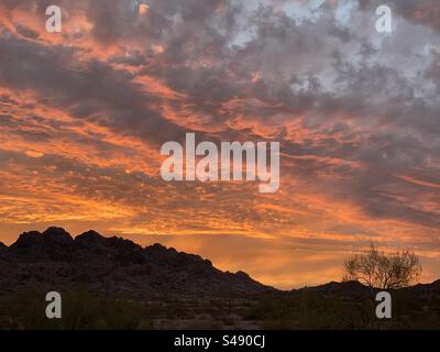 Dreamy Draw, Phoenix Mountains Preserve, Sonnenuntergang, Sonora-Wüste, Arizona Stockfoto