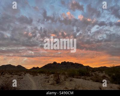 Dreamy Draw, Phoenix Mountains Preserve, Sonnenuntergang, Sonora-Wüste, Arizona Stockfoto