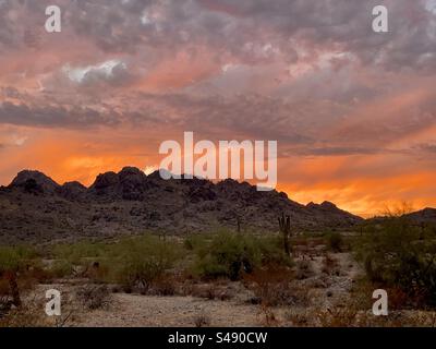 Dreamy Draw, Phoenix Mountains Preserve, Sonnenuntergang, Sonora-Wüste, Arizona Stockfoto