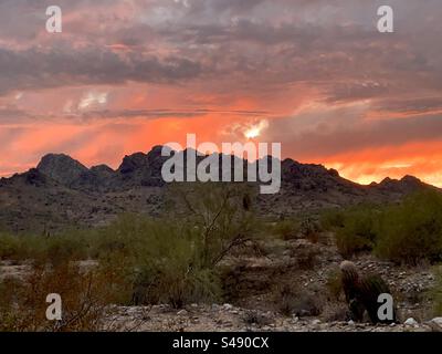 Dreamy Draw, Phoenix Mountains Preserve, Sonnenuntergang, Sonora-Wüste, Arizona Stockfoto