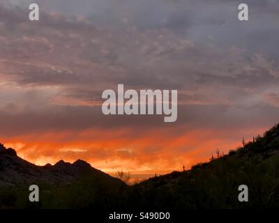 Dreamy Draw, Phoenix Mountains Preserve, Sonnenuntergang, Sonora-Wüste, Arizona Stockfoto