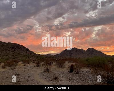 Dreamy Draw, Phoenix Mountains Preserve, Sonnenuntergang, Sonora-Wüste, Arizona Stockfoto