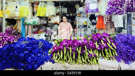 Thai-Orchideen werden von einem Verkäufer auf dem Pak Khlong Talat Blumenmarkt in Bangkok ausgestellt. Stockfoto