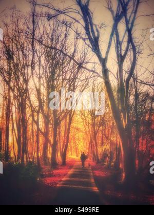 Man Walking Dog Early Morning Silvester Day auf dem Radweg in Nordwales Teil des National Cycle Network. Stockfoto