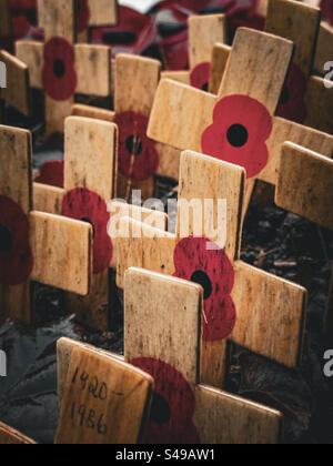 WWI und WWII Remembrance Mohnblumen: Phillip Roberts Stockfoto