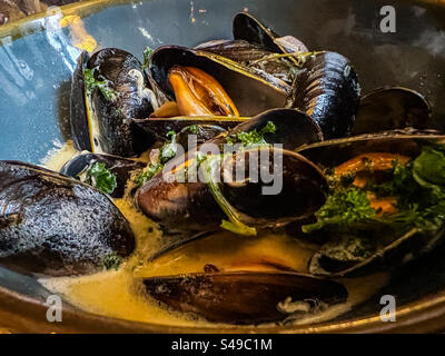 Gedämpfte Shetland-Muscheln in Weißwein und Sahnesauce Stockfoto