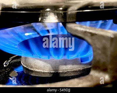 Gasmeldeleuchte auf Herdplatte mit blauer Flamme Stockfoto