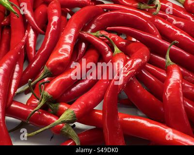 Hellrote Chili-Paprika zum Verkauf in einem Bauernladen in Worcestershire Stockfoto