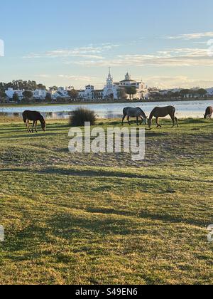 El Rocío im Nationalpark Coto de Doñana an der Costa de la Luz in Andalusien Stockfoto