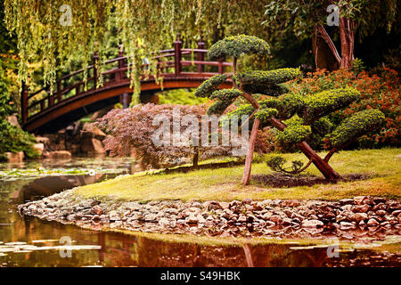 Japanischer Garten in Wrocław, Polen Stockfoto