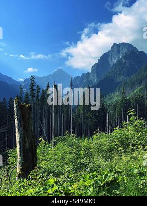 Landschaft der polnischen Tatra Stockfoto