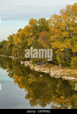 Herbstfarben und Herbstlaub im Prince’s Island Park, Calgary, Alberta, Kanada. Stockfoto