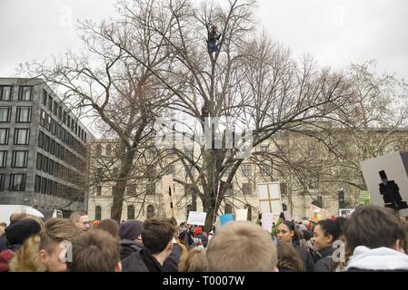 Berlin, Deutschland, Deutschland. 15 Mär, 2019. Studenten in einem Baum während des Freitags gesehen für zukünftige Streik. Tausende von Demonstranten Berliner Kundgebung in Invalidenparkl gegen den Klimawandel zu protestieren. Die meisten Protestanten junge Studenten aus Berliner Schulen, sowie eine große Anzahl von Erwachsenen und Senioren. Quelle: Simone Marchetti/SOPA Images/ZUMA Draht/Alamy leben Nachrichten Stockfoto