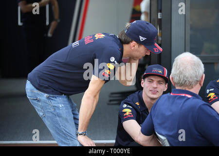 &#Xa9; Foto 4/LaPresse 16/03/2019 Melbourne, Australien Sport Formel 1 Grand Prix von Australien 2019 In der Pic: Pierre Gasly (FRA) Redbull Racing RB 15 und Max Verstappen (NED) Red Bull Racing RB 15. Stockfoto