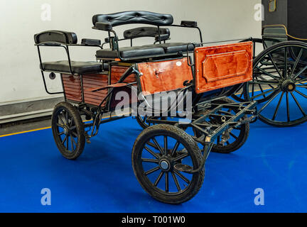 Piemont, Turin, Italien. 15. März, 2019. Lingotto Messe in Piemont. Festival von Amerika alten Schlitten Credit: Wirklich Easy Star/Alamy leben Nachrichten Stockfoto