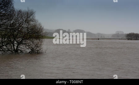 North Yorkshire, UK. 16. März 2019. Der Fluß Ure seine Banken oben Hawes in Wensleydale, North Yorkshire Burst, Ackerland war bedeckt und die A 684 bei Apersett überflutet. Credit: Wayne HUTCHINSON/Alamy leben Nachrichten Stockfoto