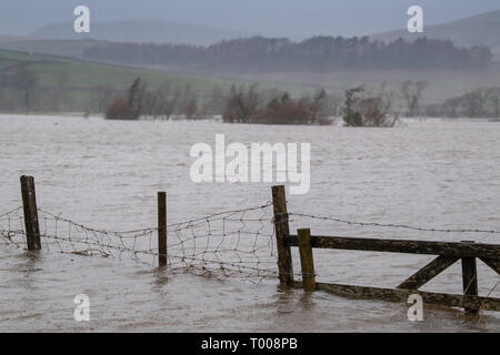 North Yorkshire, UK. 16. März 2019. Der Fluß Ure seine Banken oben Hawes in Wensleydale, North Yorkshire Burst, Ackerland war bedeckt und die A 684 bei Apersett überflutet. Credit: Wayne HUTCHINSON/Alamy leben Nachrichten Stockfoto