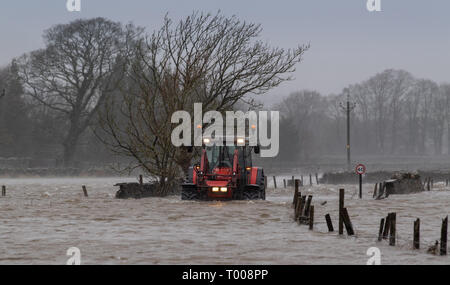 North Yorkshire, UK. 16. März 2019. Landwirt kommend auf der A 684 in der Nähe von Hawes, North Yorkshire überflutet, wie der Fluß Ure die Ufer in der Sintflut, die durch Sturm Hannah. Credit: Wayne HUTCHINSON/Alamy leben Nachrichten Stockfoto