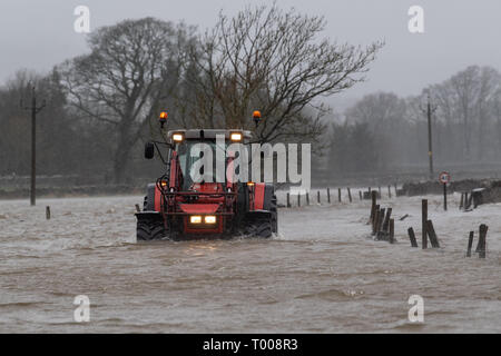 North Yorkshire, UK. 16. März 2019. Landwirt kommend auf der A 684 in der Nähe von Hawes, North Yorkshire überflutet, wie der Fluß Ure die Ufer in der Sintflut, die durch Sturm Hannah. Credit: Wayne HUTCHINSON/Alamy leben Nachrichten Stockfoto