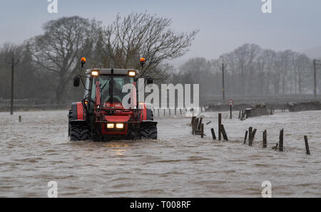 North Yorkshire, UK. 16. März 2019. Landwirt kommend auf der A 684 in der Nähe von Hawes, North Yorkshire überflutet, wie der Fluß Ure die Ufer in der Sintflut, die durch Sturm Hannah. Credit: Wayne HUTCHINSON/Alamy leben Nachrichten Stockfoto