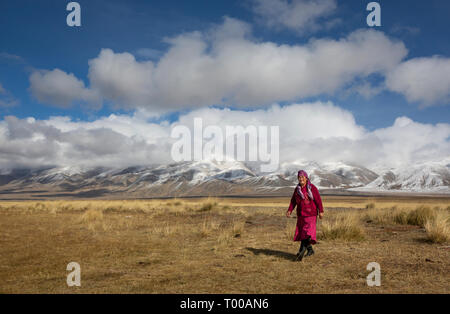 Bayan Olgii, Mongolei, 29. September 2015: Mongoilian kasachischen Nomadin in der Landschaft der westlichen Mongolei Stockfoto