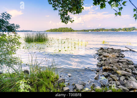 Transparent, klares Wasser und Schilf unter der Sonne am Ufer des Flusses Dnepr in Kiew Stockfoto