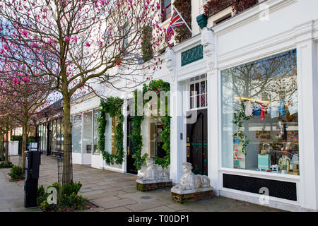 LONDON, UK, 11. MÄRZ 2019: Magnolienbäume blühen vor eleganten Geschäften in Notting Hill in London Stockfoto