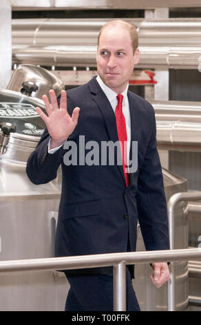 Der Herzog von Cambridge stellt eine Plakette während offiziell die neue Gehirne Brauerei in Cardiff öffnen, vor der Teilnahme an der Wales/Irland sechs Nationen übereinstimmen. Stockfoto