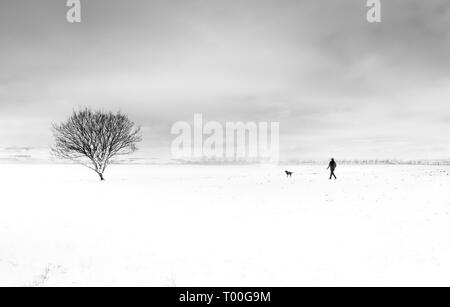 Minimalistische Schwarz-Weiß-Bild einer fernen Mann, Hund in flachen verschneite Winterlandschaft mit einem einsamen Baum Stockfoto