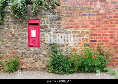 Ein rotes Dorf Post Box in eine Mauer aus Stein. Ivy hängt über der Oberseite der Wand und am Boden Mohnblumen und Brennnesseln wachsen. Stockfoto