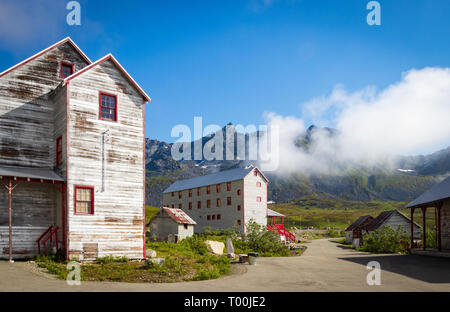 Blumen und Berge über die Alaska Range Stockfoto