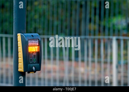 Fußgänger-Taste mit Warten Signal leuchtet bei einem Zebrastreifen in London, Großbritannien Stockfoto