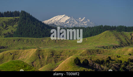 Sommer Blick auf den aktiven Vulkan Mount Ruapehu, gesehen von Wanganui, im Norden der Insel von Neuseeland. Stockfoto
