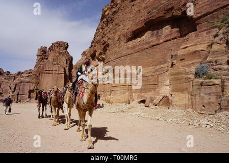 Die Einheimischen, die Kamele im Wadi Rum Jordanien Stockfoto