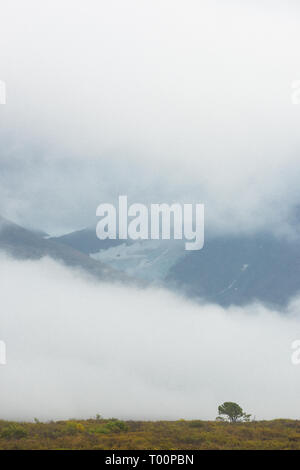 Einsamer Baum in den Wolken, Haines Road, Northern British Columbia, Kanada Stockfoto