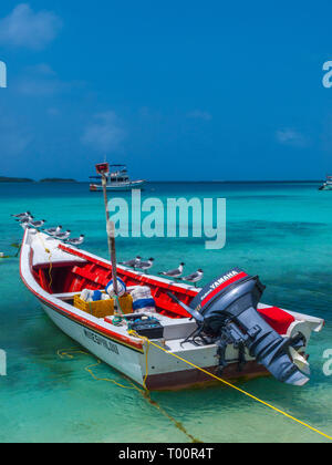 Fischerboot schwimmt am tropischen Strand der Insel Cayo pirata in Los Roques, Venezuela. Stockfoto