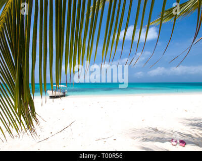 Exotischer Karibikstrand mit Palmen, weißem Sand, türkisfarbenem, ruhigem Wasser. DOS Moskitos Insel im Los Roques Nationalpark Venezuela. Reiseziel Stockfoto