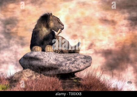 Ein säbelzahntiger Katze auf einem großen flachen Stein auf einem grasbewachsenen Aufstieg entspannt. Stockfoto