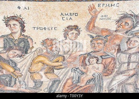 Ein schönes Mosaik Fliese Panel in der Fußboden einer römischen Villa auf der UNESCO-Website von Kato Pafos im Süden Zyperns. Dieses Mosaik ist in das Haus des Aion a Stockfoto