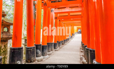 Fushimi Inari Taisha in Kyoto, Japan Stockfoto