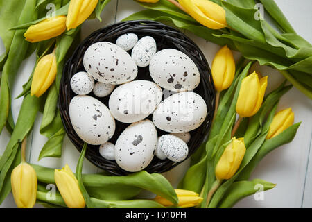 Schöne gelbe Tulpen mit gepunkteten Wachteln und Huhn Eier im Nest auf Weiß Stockfoto