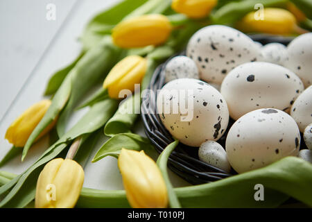 Schöne gelbe Tulpen mit gepunkteten Wachteln und Huhn Eier im Nest auf Weiß Stockfoto